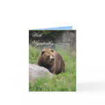 Washington Brown Bear - Sympathy Card