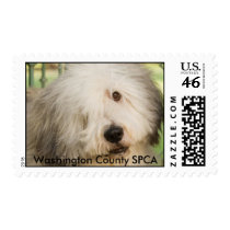 Washington County SPCA 2 postage