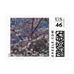 Washington D.C. Cherry Blossoms Stamps
