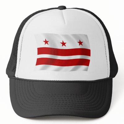 Washington D.C. Flag Hat by