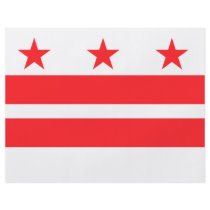 WASHINGTON D.C. flyers