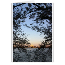 Washington DC Cherry Blossom Greeting Card