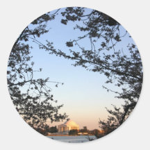 Washington DC Cherry Blossom Stickers