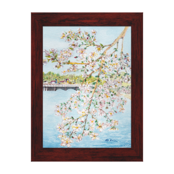 Washington DC Cherry Blossoms Watercolor Painting Gallery Wrapped Canvas