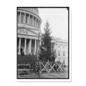 Washington DC Christmas Tree posters