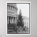 Washington DC Christmas Tree posters