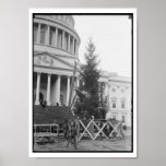Washington DC Christmas Tree Print