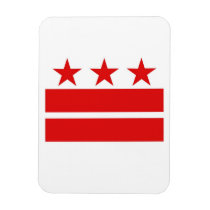 Washington DC Flag Magnet