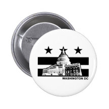 Washington DC Flag Pin