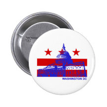 Washington DC Flag Pin
