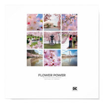 Washington, DC Flower Power Poster posters