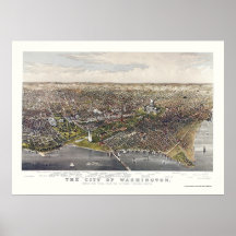 Washington, DC Panoramic Map - 1880 Print