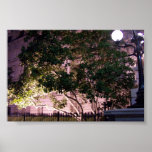 Washington, DC Posters