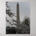 Washington, DC Print