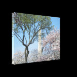 Washington Monument and Cherry Blossoms Canvas Pri Gallery Wrapped Canvas