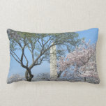 Washington Monument and Cherry Blossoms Pillow