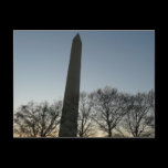 Washington Monument in Winter Postcard