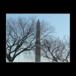 Washington Monument in Winter Postcard