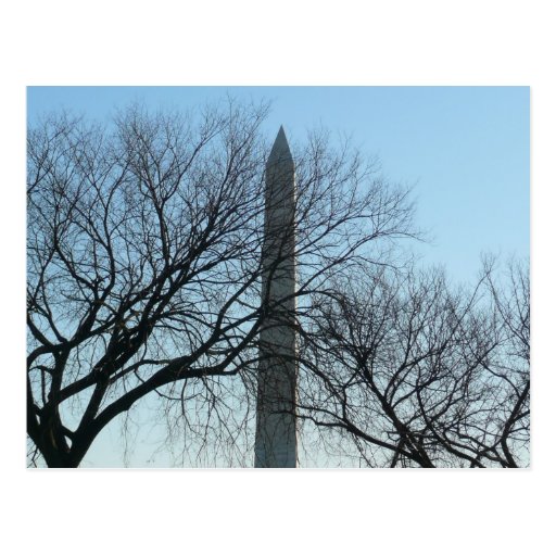 Washington Monument in Winter Postcard