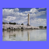 WASHINGTON MONUMENT LITHOGRAPH posters