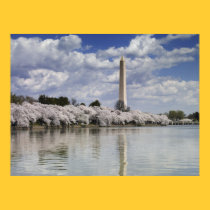 WASHINGTON MONUMENT LITHOGRAPH posters