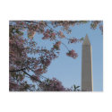 Washington Monument postcards