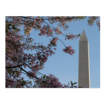 Washington Monument Postcard