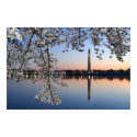 Washington Monument Spring Morning posters by captainifr Washington Monument Spring Morning posters