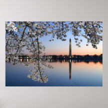 Washington Monument Spring Morning Print