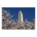 Washington Monument Spring posters