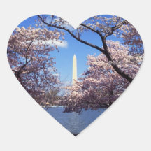 Washington Monument Through Cherry Blossoms Stickers