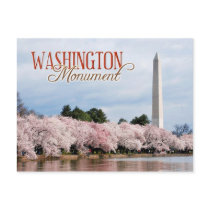 Washington Monument with cherry blossoms Postcard