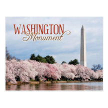Washington Monument with cherry blossoms Postcard