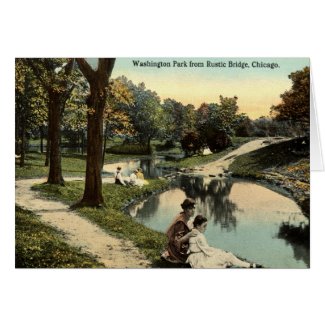 Washington Park Chicago Children 1915 vintage card
