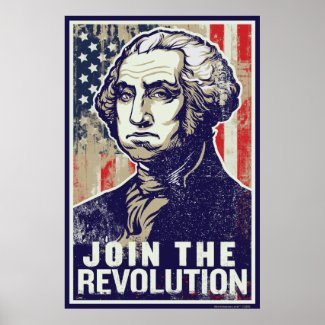 Washington Revolution Poster print