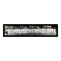 Washington Senators Photo 1913 posters