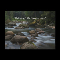 Washington "The Evergreen State" postcards