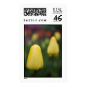 Washington Tulips postage by AlisaMokler Washington Tulips postage