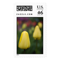 Washington Tulips postage