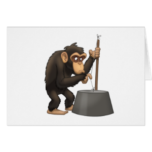 Washtub-Bass-Playin’ Chimp Note Card