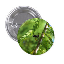 Wasp buttons