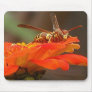 WASP LANDING mousepad