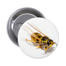 Wasp Pinback Button