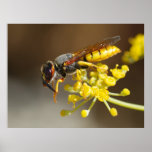 Wasp Print