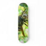 Wasp Skateboard Decks