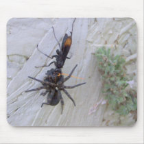 Wasp vs Spider Wasp Wins mousepads by talaglenexotics Wasp vs Spider Wasp Wins mousepads