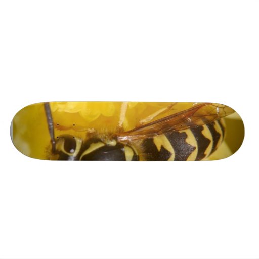 Wasps Custom Skateboard