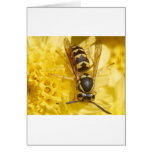 Wasps Greeting Card