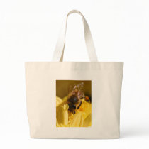 Wasps Insect bags