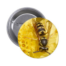 Wasps Pinback Buttons